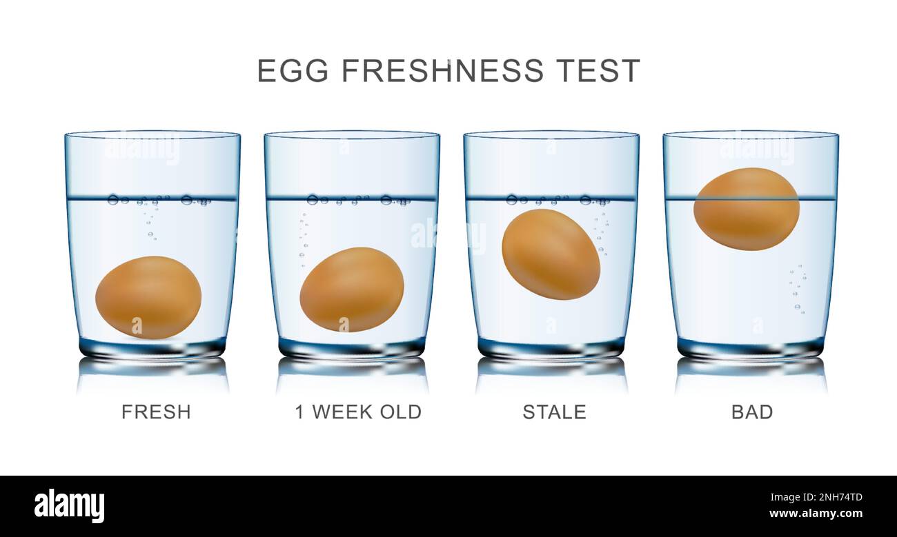 Egg freshness test realistic infographics with fresh and bad product in Egg freshness test realistic infographics with fresh and bad product in