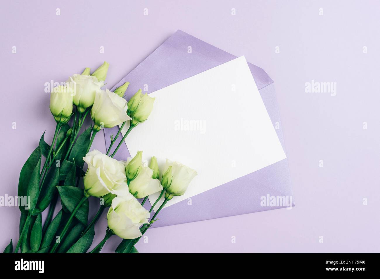 Eustoma grandiflorum white flowers and envelope with blank card on purple background, mockup. Festive background, flat lay, copy space. Stock Photo