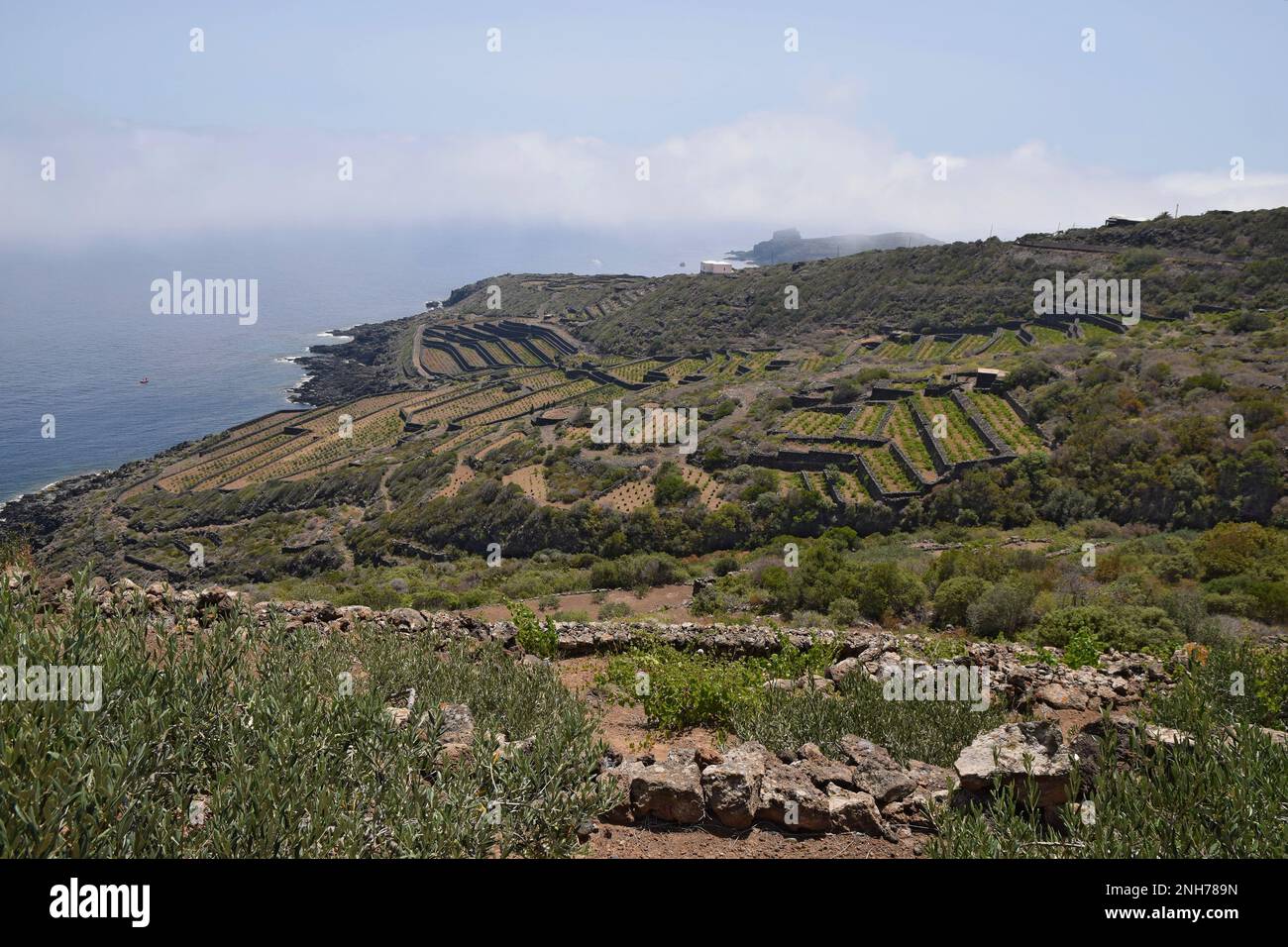 Panoramic view with Mediterranean vegetation and agricultural terraces, Pantelleria Stock Photo