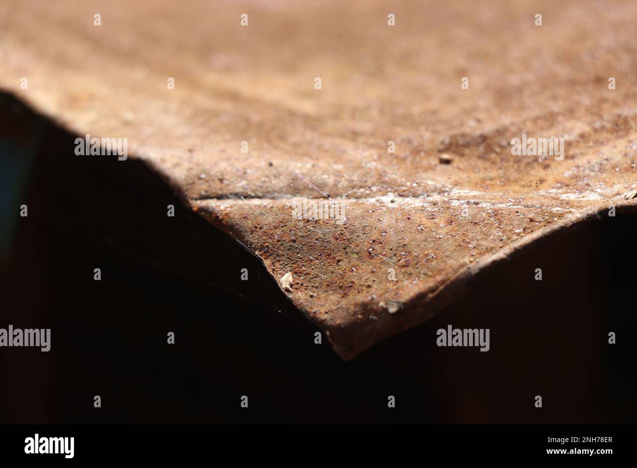 Rusty sheet metal with sunlight falling on its surface on outdoors Stock Photo