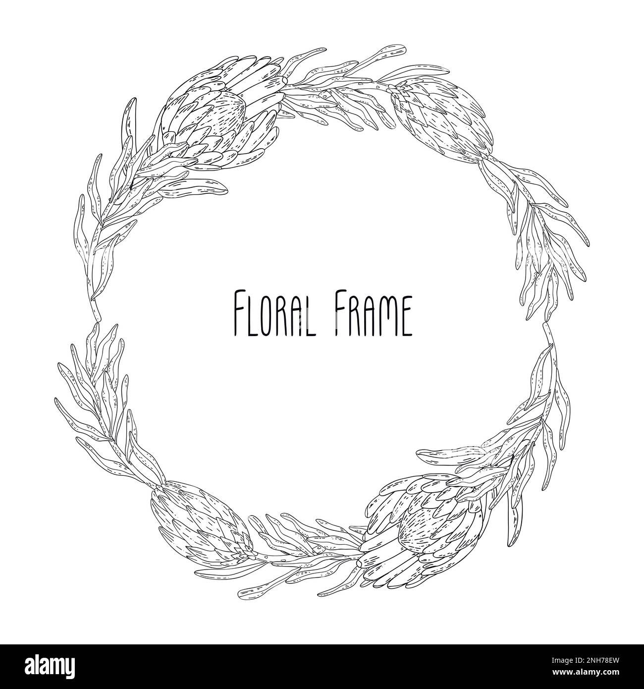Hand drawn floral frame with flowers King Protea, branch and leaves