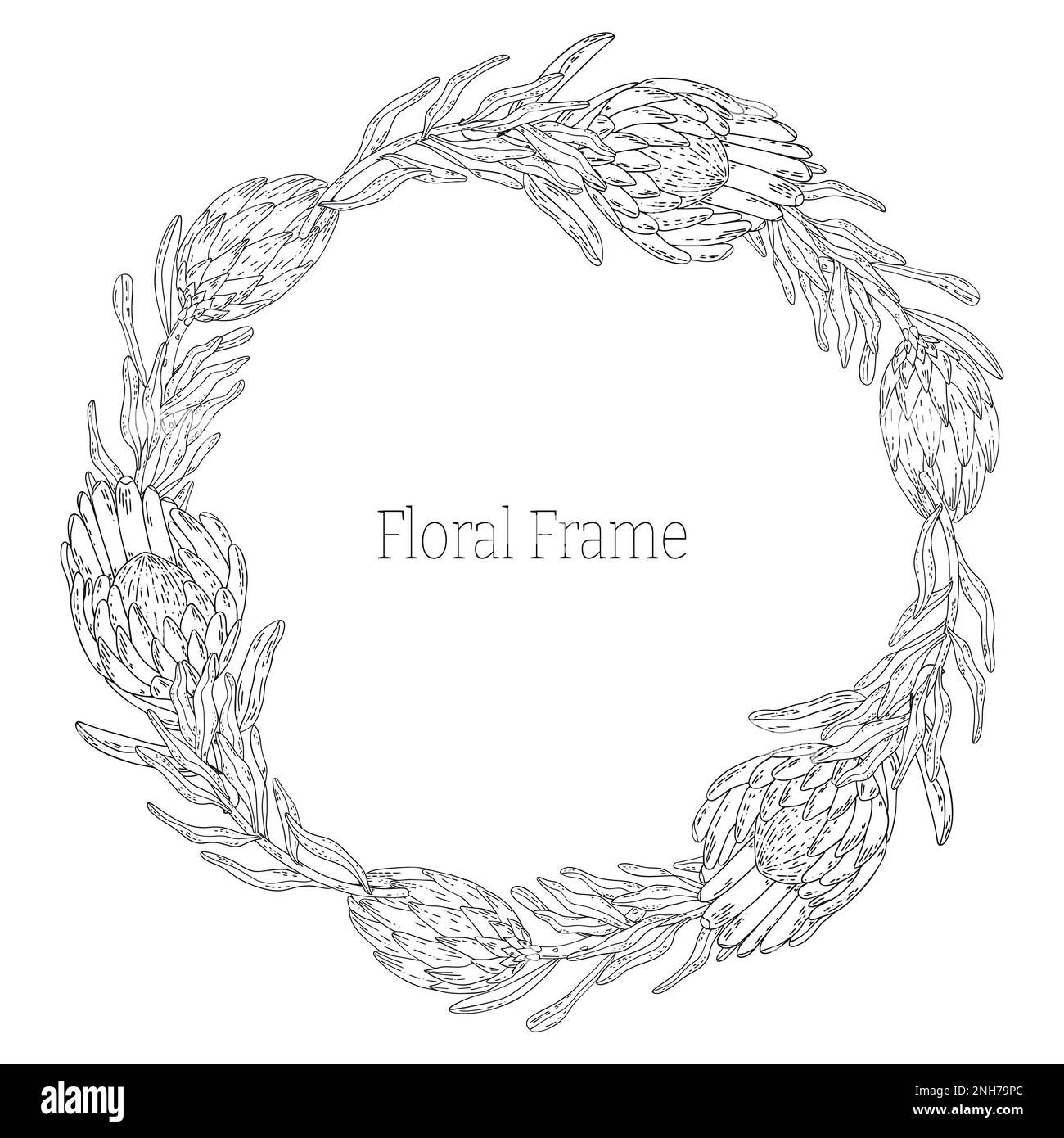 Hand drawn floral frame with flowers King Protea, branch and leaves