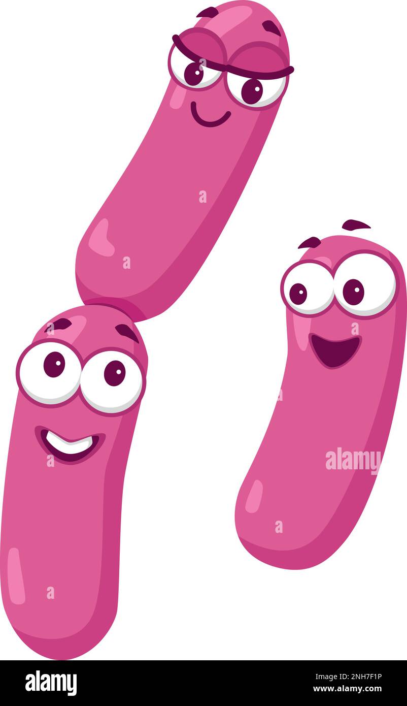 Vector illustration of a Lactobacillus bacteria in cartoon style