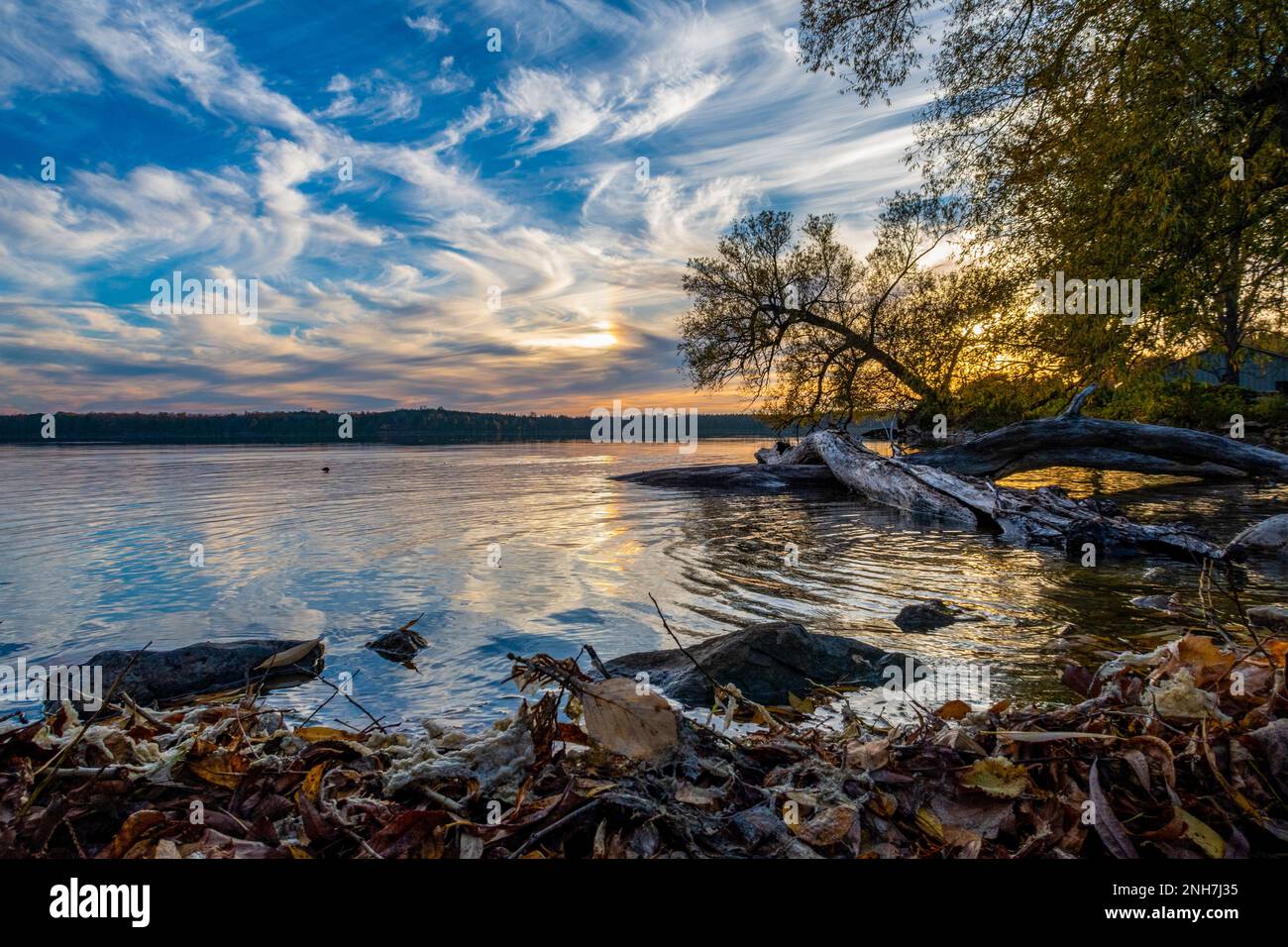 A scenic view of a tranquil body of water surrounded by trees and ...