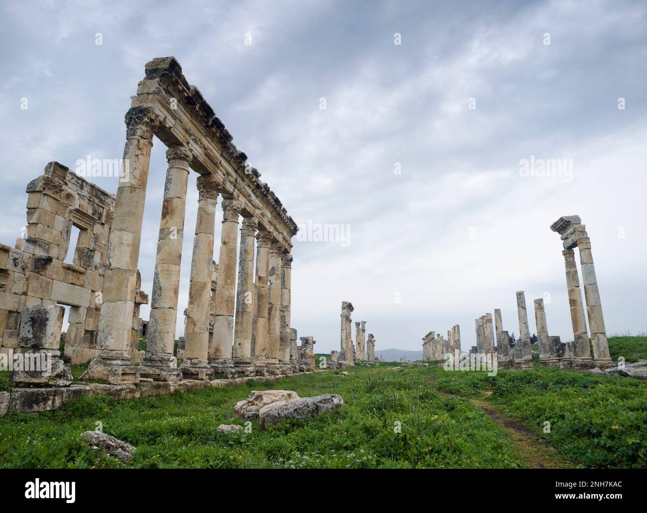 The Great Colonnade at Apamea  ancient roman ruins, Hama Governorate, Syria Stock Photo
