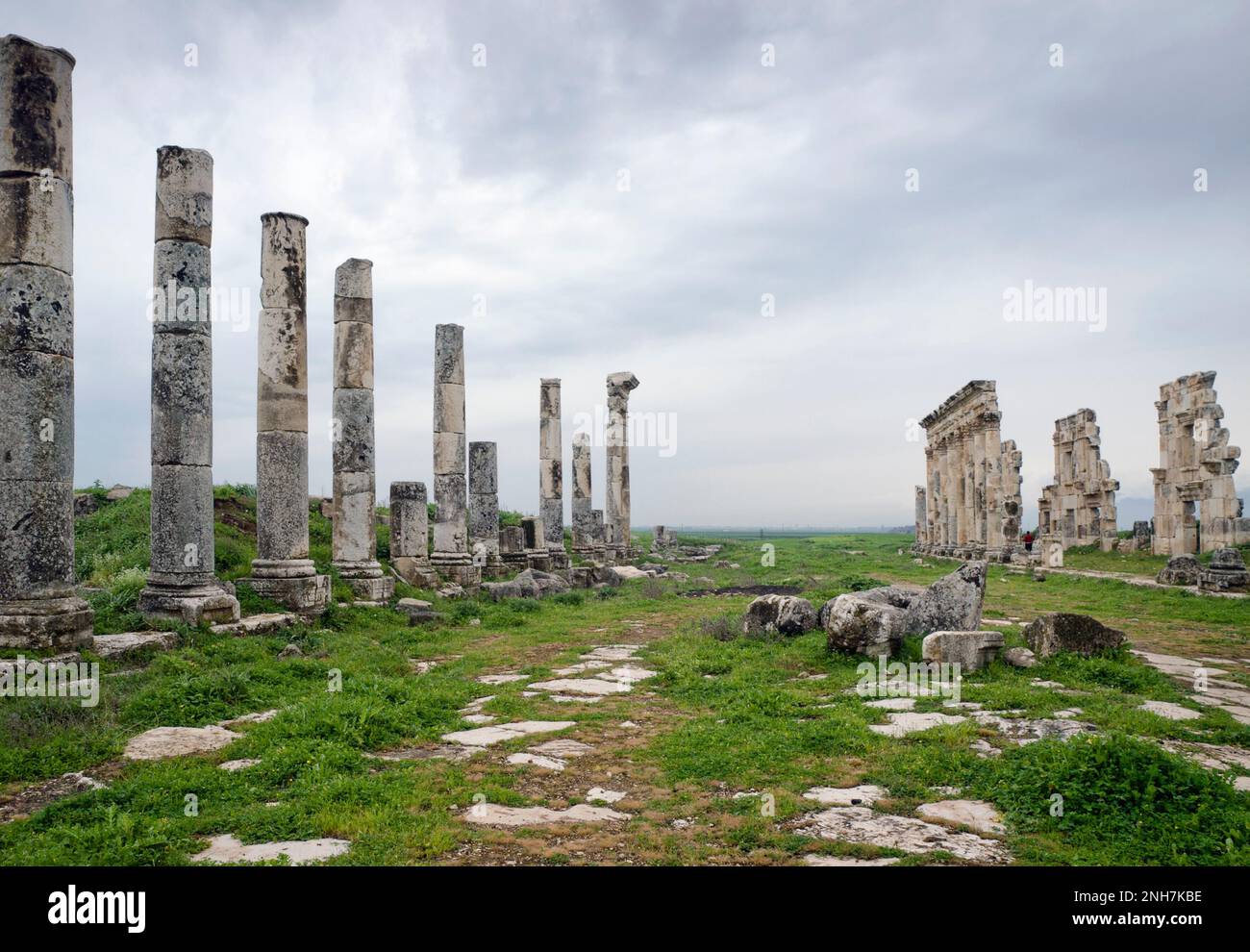 The Great Colonnade at Apamea  ancient roman ruins, Hama Governorate, Syria Stock Photo