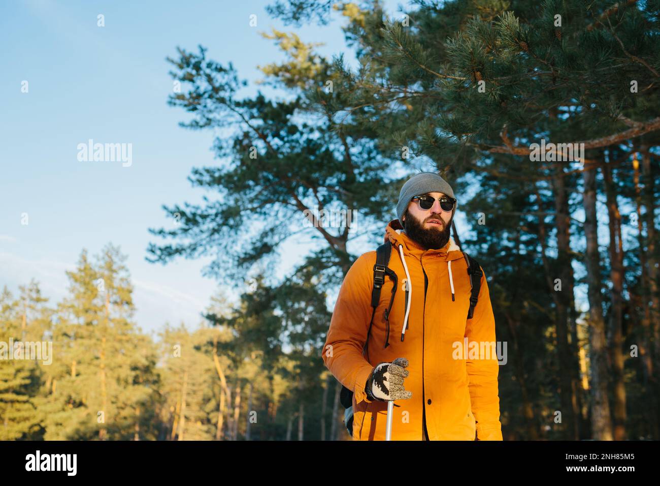 Hiker backpack forest hi-res stock photography and images - Alamy