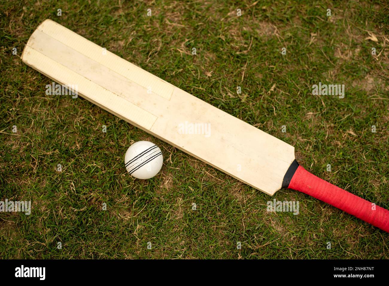 Cricket bat and ball on playing grass field pitch Stock Photo Alamy