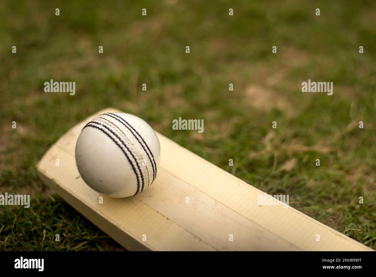 Cricket bat and white cricket ball on playing grass field pitch Stock