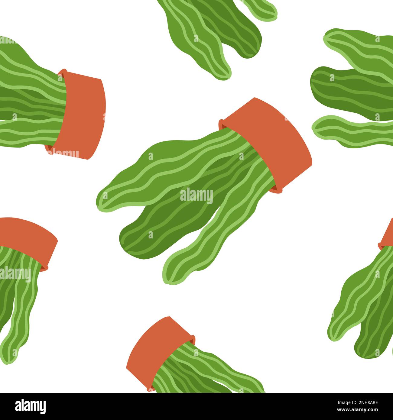 Cacti pattern. Vector illustration in cartoon flat style isolated on ...