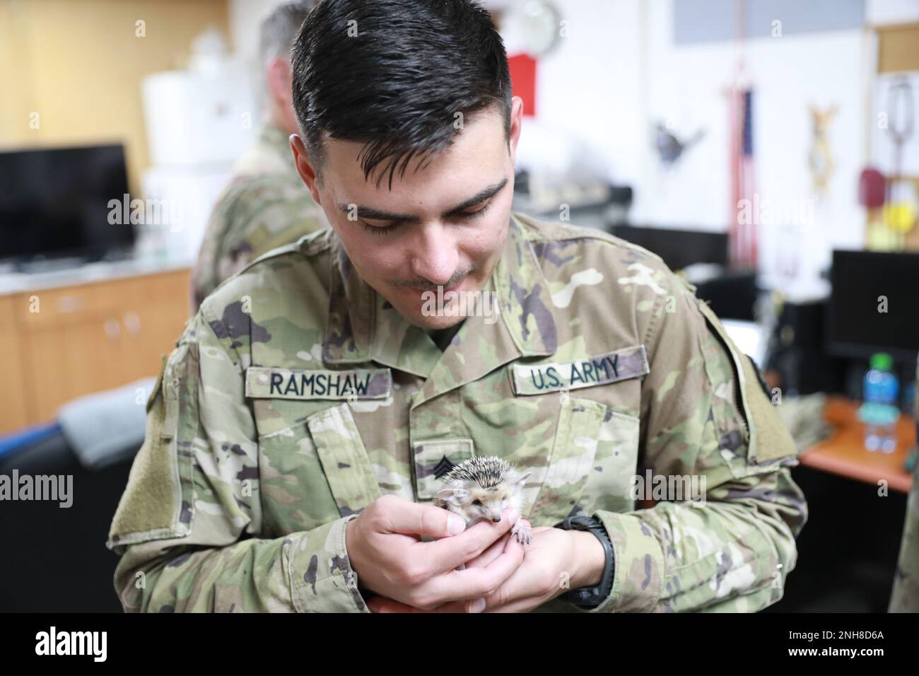 Soldiers of the 168th Medical Detachment of Veterinary Support Services