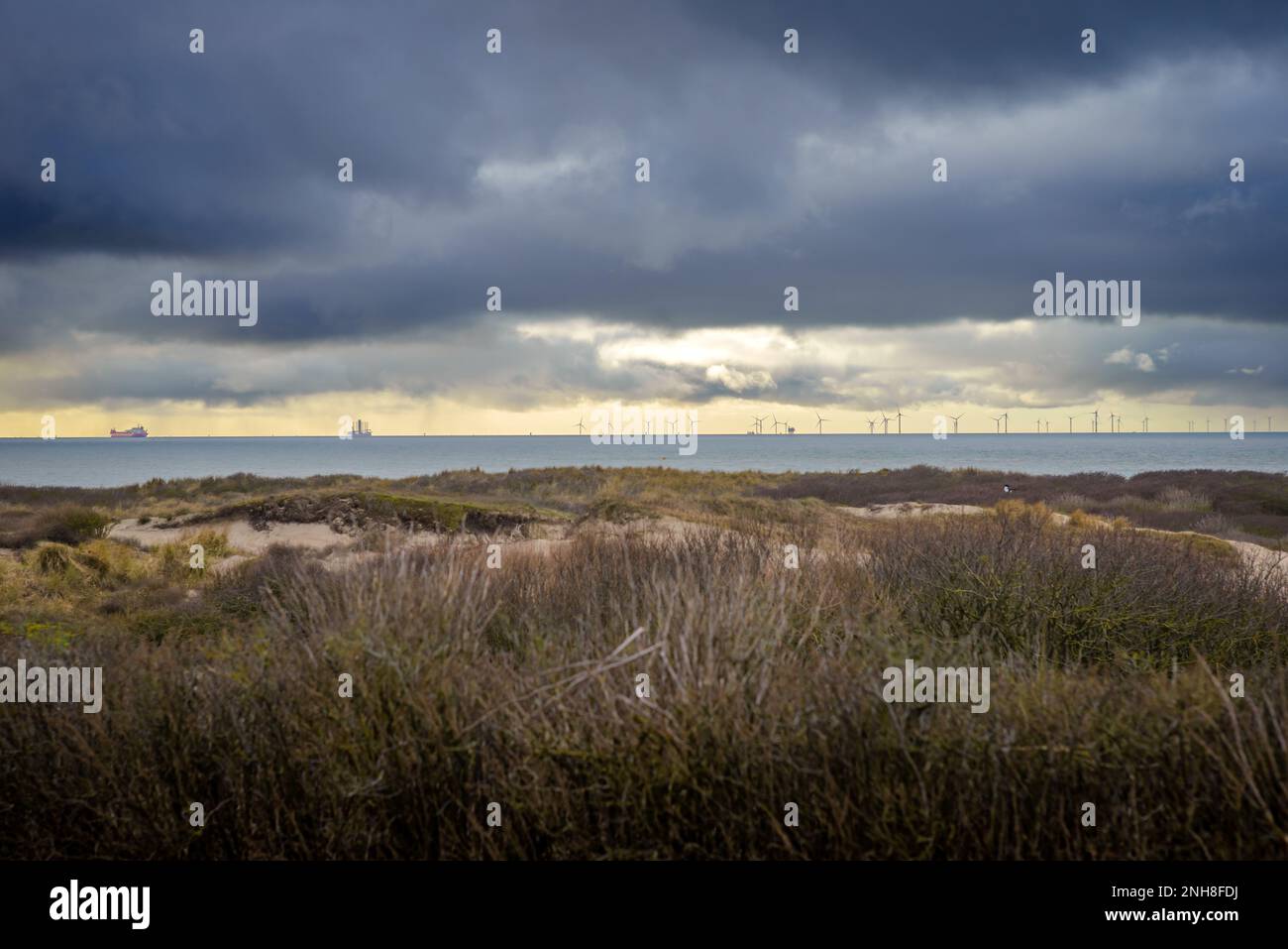 View on the wind turbines at the horizon, from the North sea Katwijk