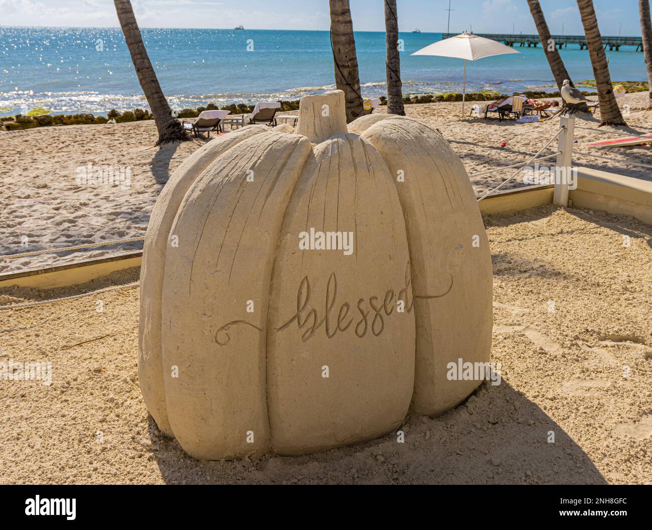 Thanksgiving Pumpkin Sand Sculpture on Casa Marina Beach, Key West