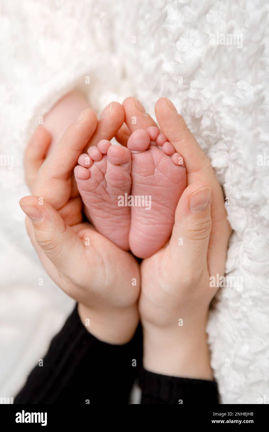 Baby Foot In Mother's Careful Hands Stock Photo, Picture and Royalty Free  Image. Image 34998832.