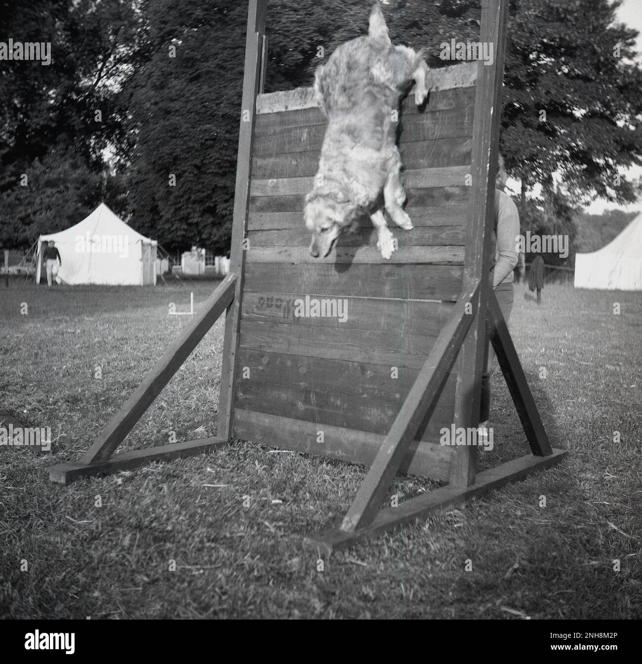 Curated visual reference: Picture Idea: 1964 Historical Outside In A Field At A Dog Training