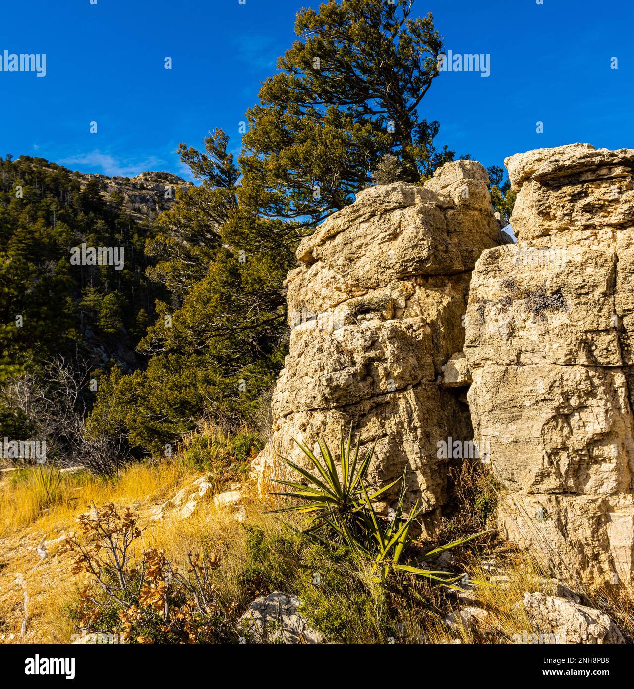 Limestone Escarpment On The Guadalupe Peak Trail, Guadalupe Mountains National Park, Texas, USA Stock Photo