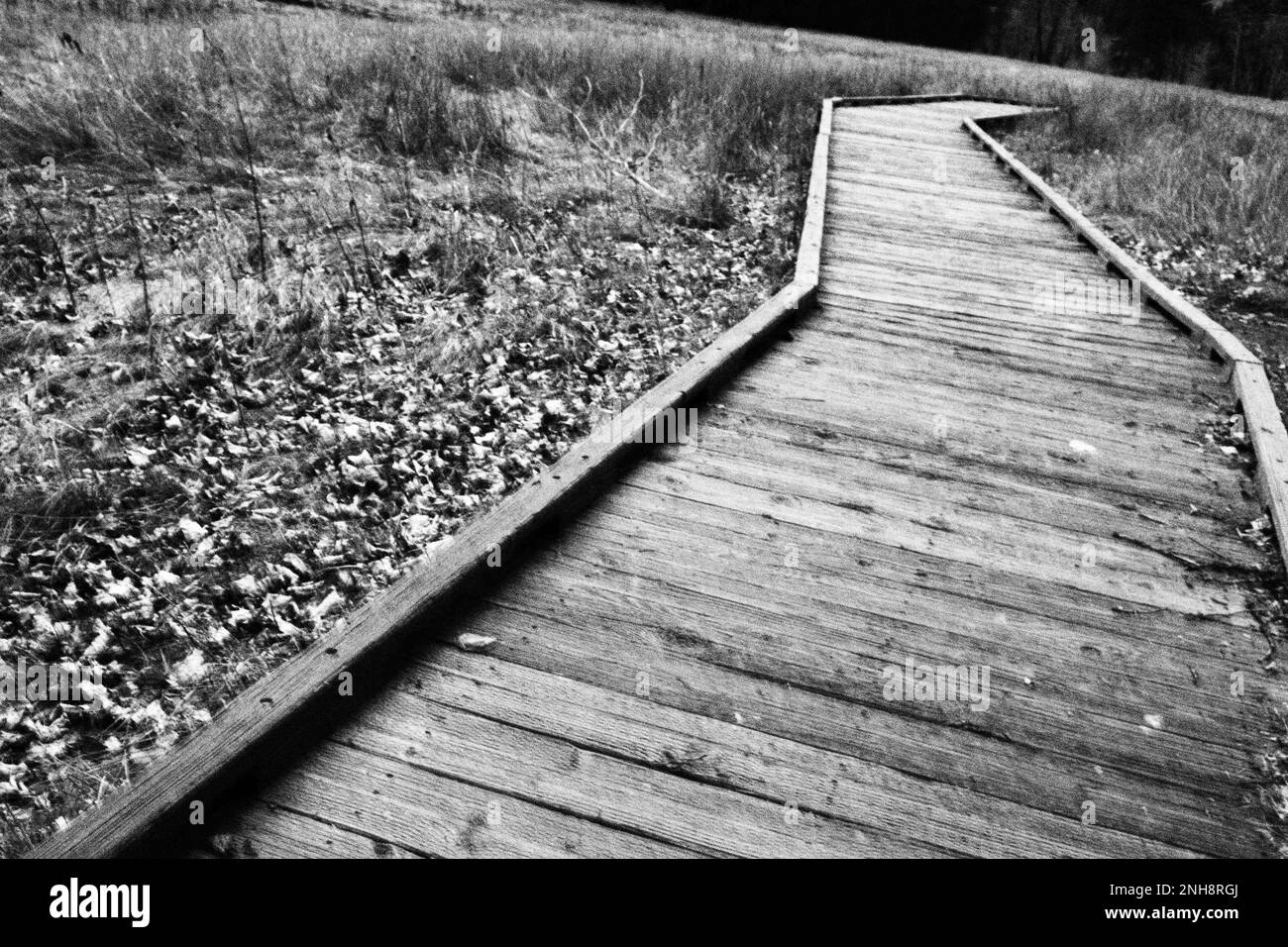 Black and white photo of a walkway at Yosemite National Park Stock Photo