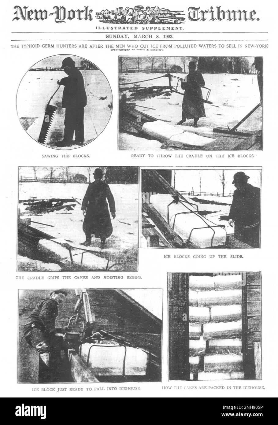 The typhoid germ hunters are after the men who cut ice from polluted waters to sell in New York. Illustrated supplement of the New-York Tribune, March 8th, 1903. Typhoid fever, also known as typhoid, is a disease caused by Salmonella serotype Typhi bacteria and is spread by eating or drinking food or water contaminated with the feces of an infected person. Stock Photo