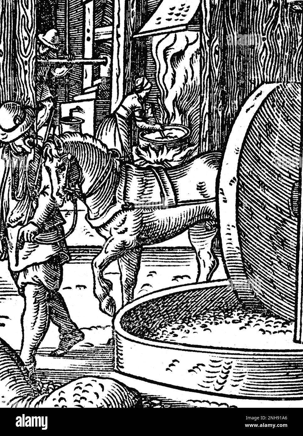 A workshop in which oils are made from trees, nuts, berries, etc. for food and medicine. Woodcut from Jost Amman's Book of Trades, 1568. Stock Photo