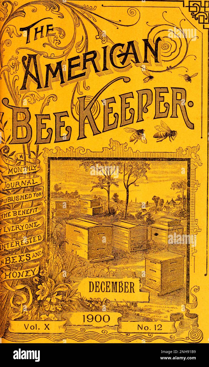 Cover of The American Bee Keeper, Volume 10, Number 12, December 1900. Stock Photo