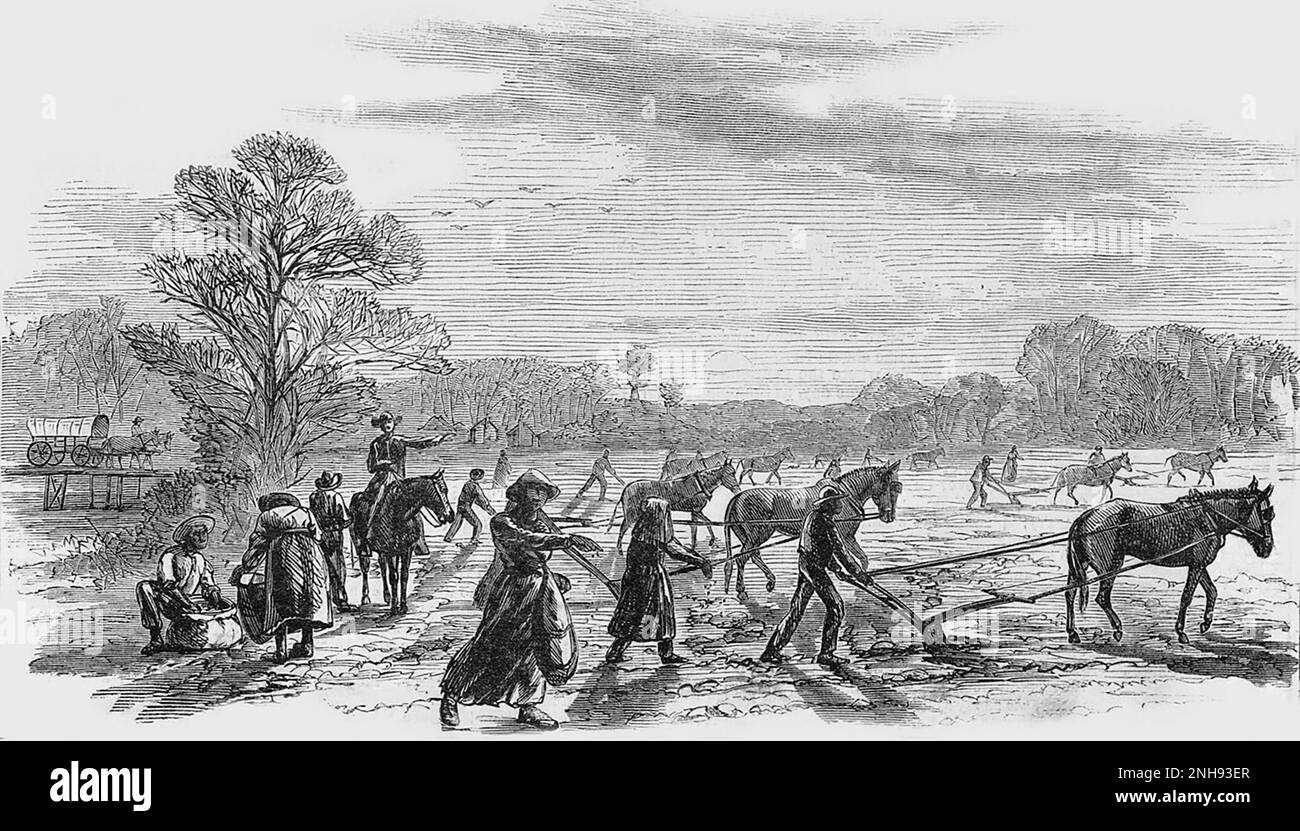 Former slaves working a cotton press on a Southern cotton plantation, 1867.  Illustration by Alfred R. Waud, Harper's Weekly, February 2, 1867. Stock Photo
