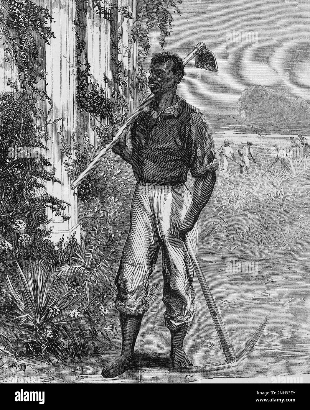 Crop of a satirical illustration of 'the great labor question from a Southern point of view' showing a black man standing on a Southern plantation with pick and hoe. Harper's Weekly, July 29, 1865. See 2452956 for full image. Stock Photo