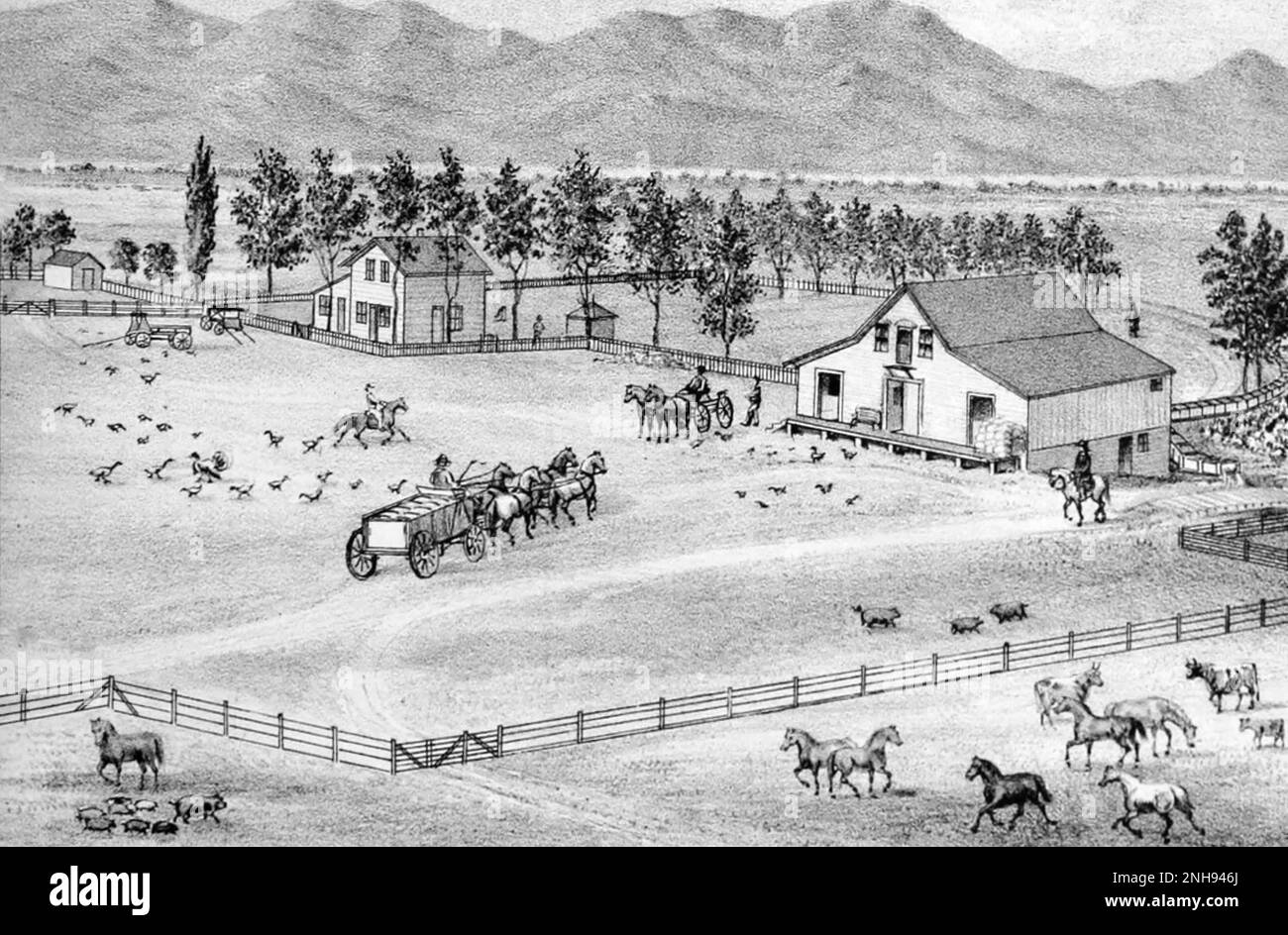 A settler ranch in the American West. Farm of W. R. Lee, Esmeralda County, Mason Valley, Nevada. Illustration by Myron Angel, 1881./n Stock Photo
