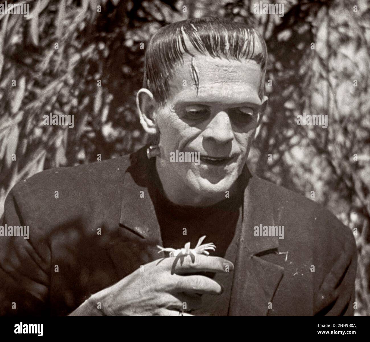Frankenstein monster boris karloff hires stock photography and images