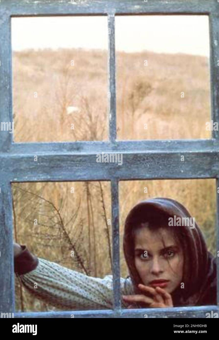 Настасья Кински Кормит Грудью Малыша В Поле – Тэсс 1979 Настасья Кински Кормит Грудью Малыша В Поле – Тэсс 1979