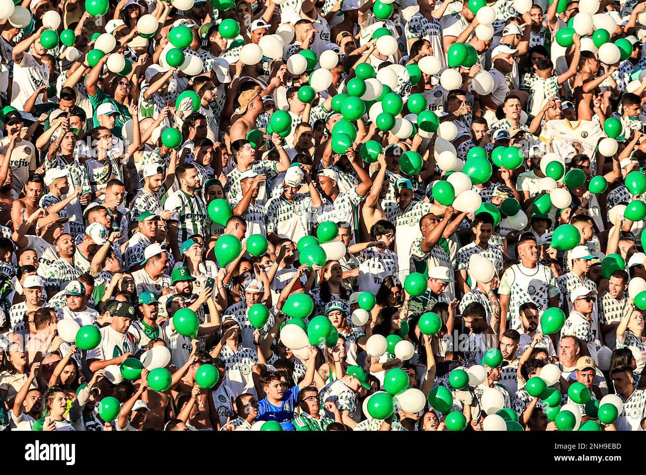 SÃO PAULO, SP - 04.02.2023: PALMEIRAS X SANTOS - Sandry in the match  between Palmeiras X Santos, valid for the 6th round of the Campeonato  Paulista de Futebol, Série A, 2023, held