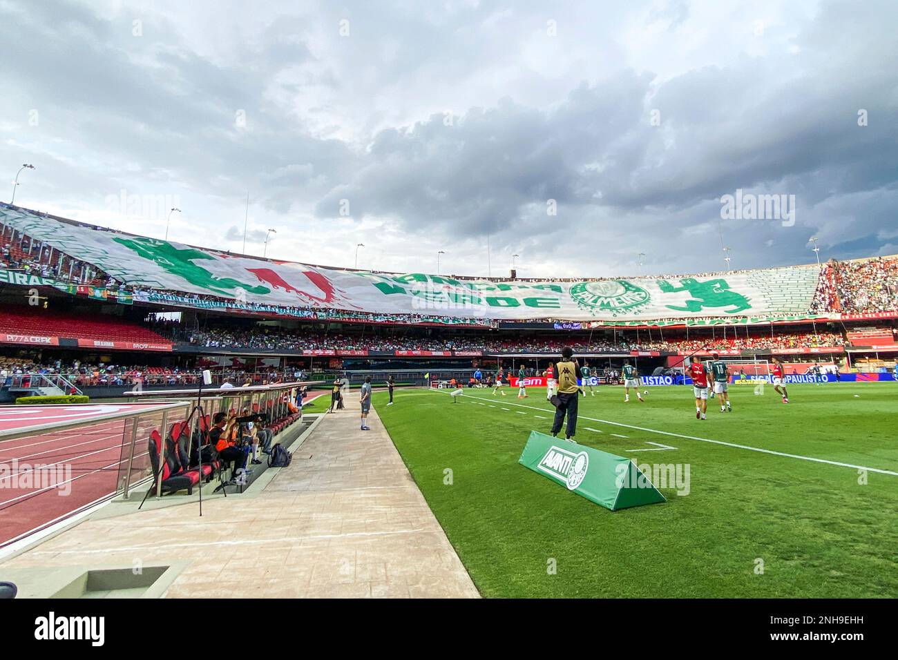 SÃO PAULO, SP - 04.02.2023: PALMEIRAS X SANTOS - Rony in the match between  Palmeiras X Santos, valid for the 6th round of the Campeonato Paulista de  Futebol, Série A, 2023, held