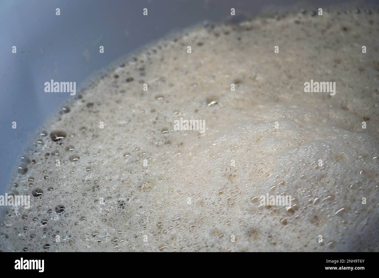 Beer yeast foam alcohol fermentation process Stock Photo Alamy