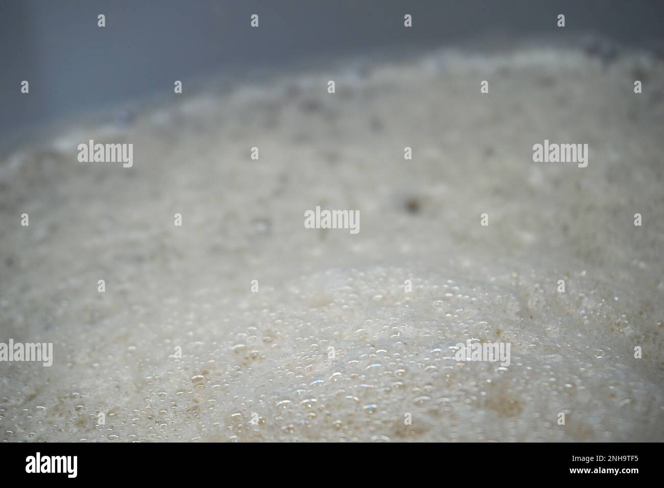 Beer yeast foam alcohol fermentation process Stock Photo Alamy