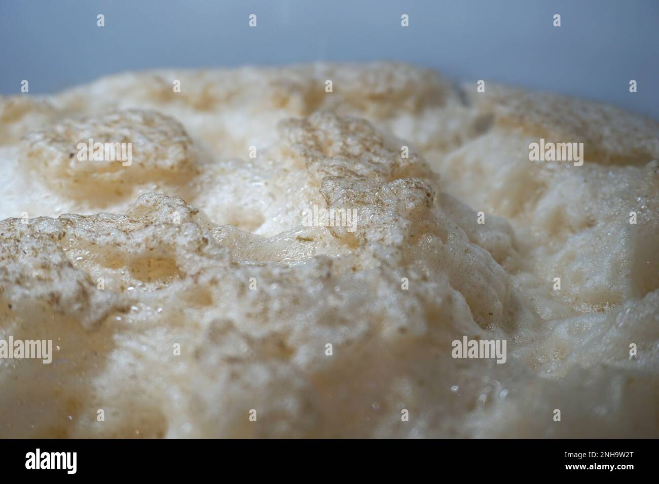 Beer yeast foam alcohol fermentation process Stock Photo Alamy
