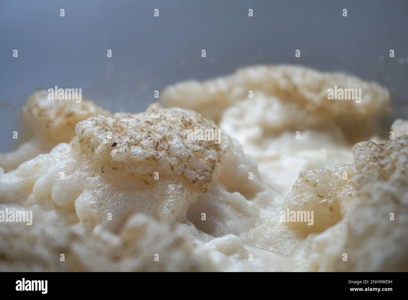 Beer yeast foam alcohol fermentation process Stock Photo Alamy