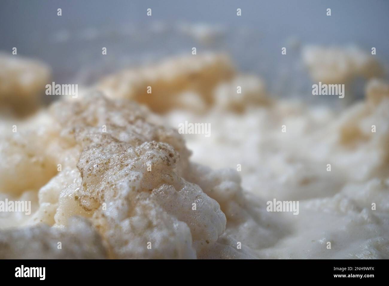 Beer yeast foam alcohol fermentation process Stock Photo Alamy