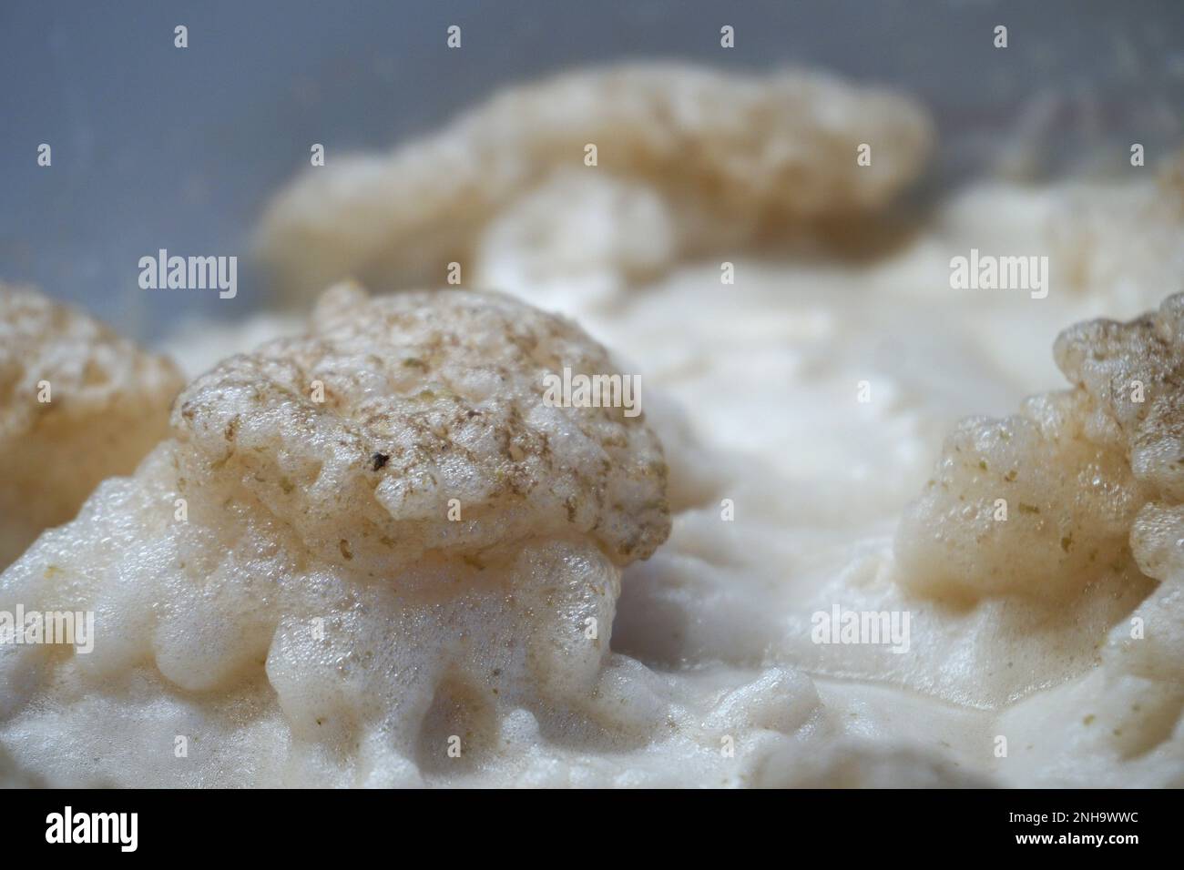 Beer yeast foam alcohol fermentation process Stock Photo Alamy