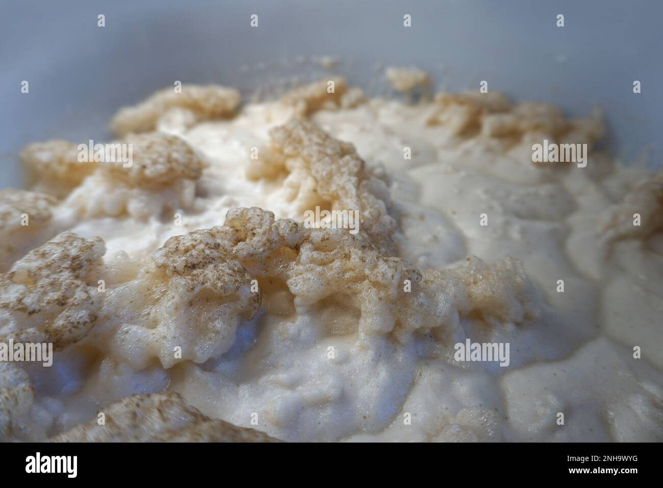 Beer yeast foam - alcohol fermentation process Stock Photo