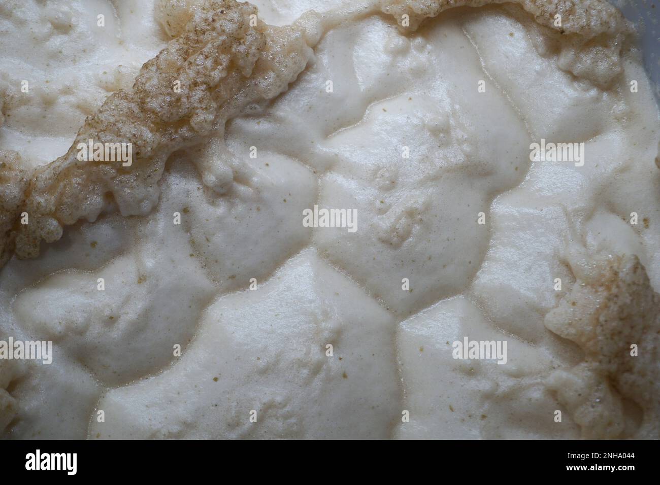 Beer yeast foam top view alcohol fermentation process Stock Photo