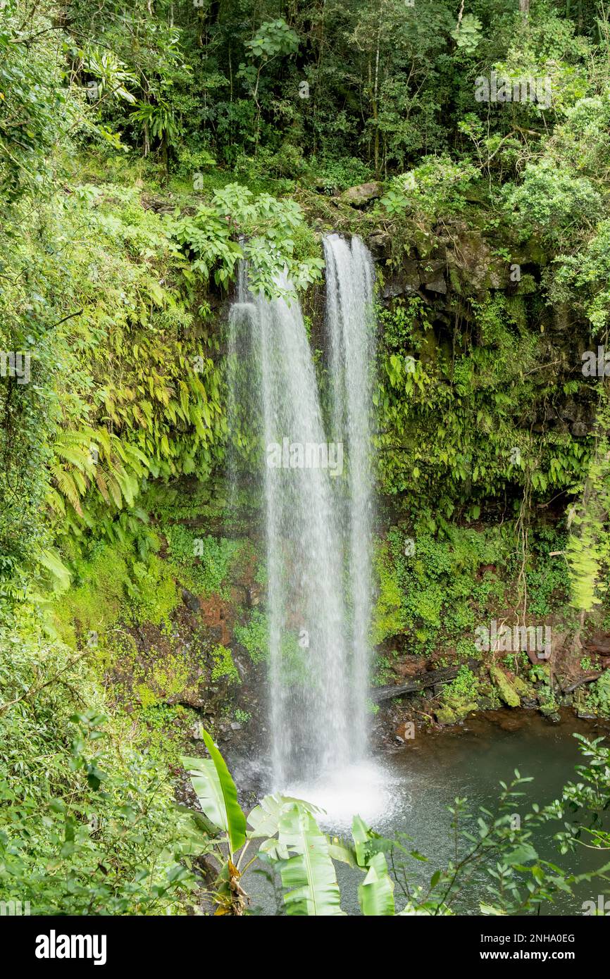 Sacred Waterfall in Montagne D'Ambre National Park, Madagascar Stock Photo