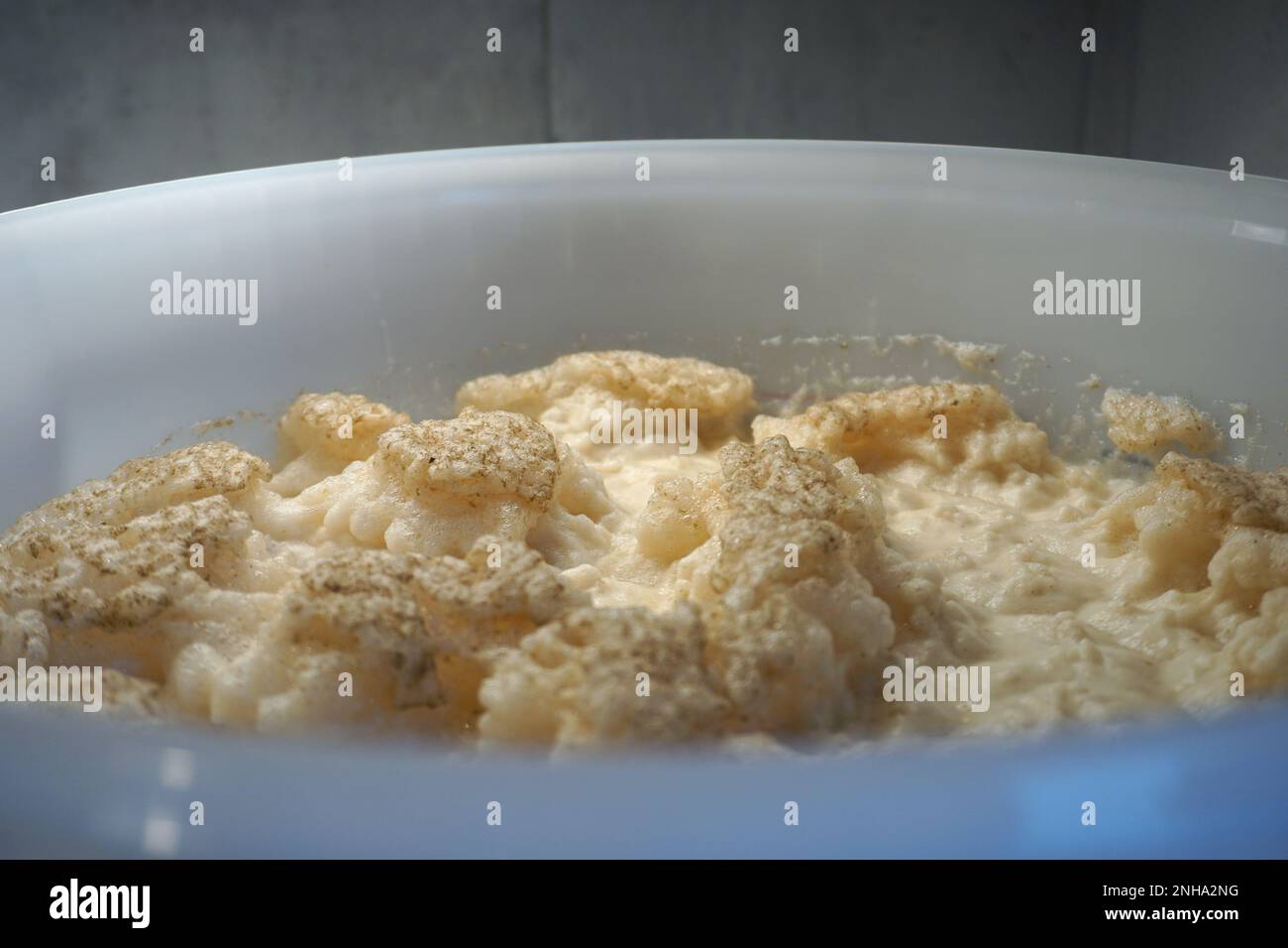 Beer yeast foam in fermenter alcohol fermentation process Stock Photo Alamy