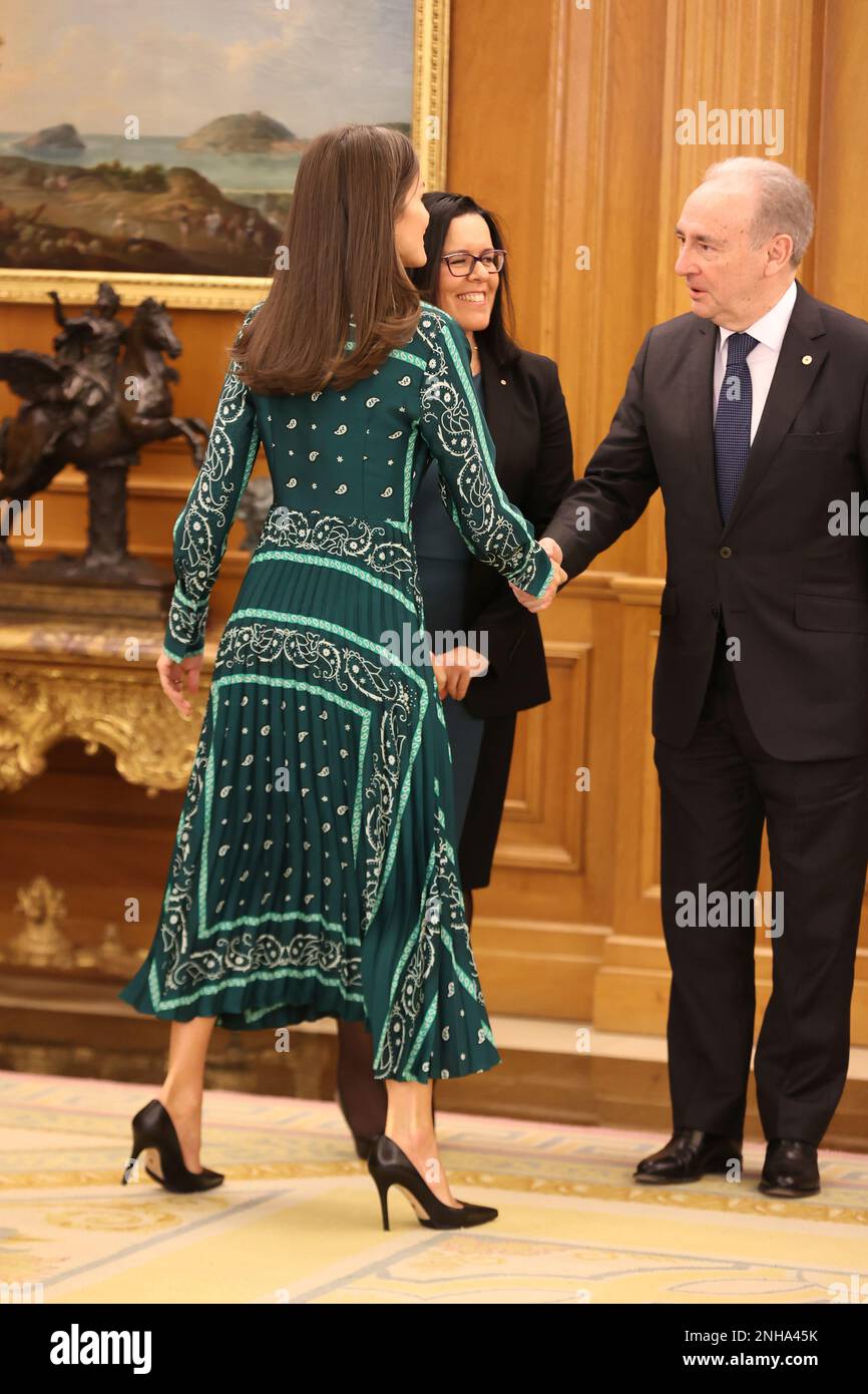 Queen Letizia during an audience with a representation of the Red Cross ...