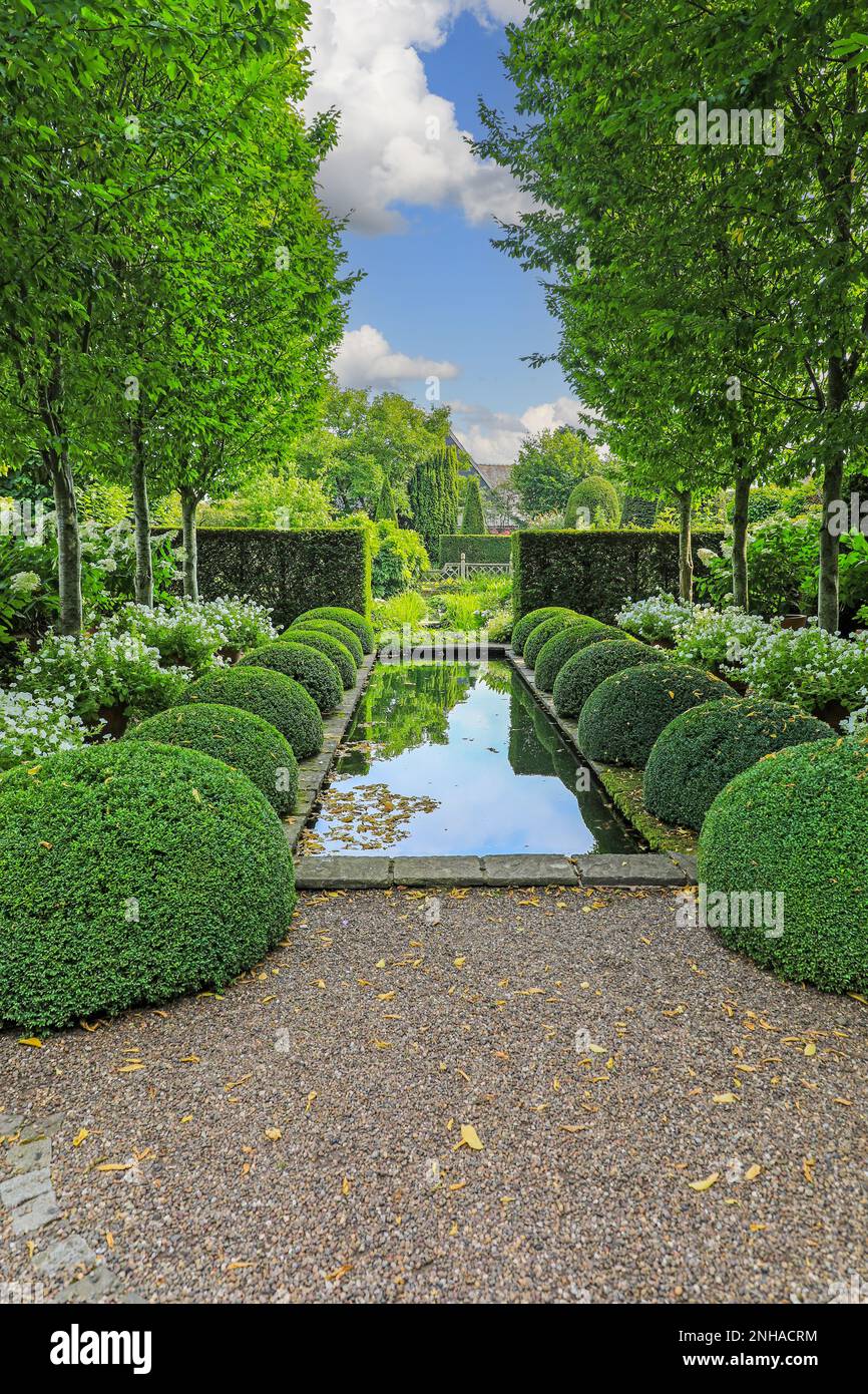 The pond and topiary at the Upper Rill Garden at Wollerton Old Hall Gardens garden, Wollerton