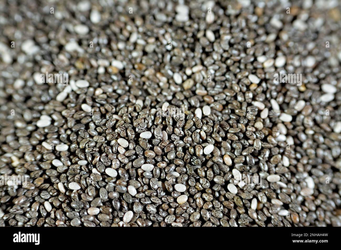 Dried chia seeds with a high content of dietary fiber, vitamins