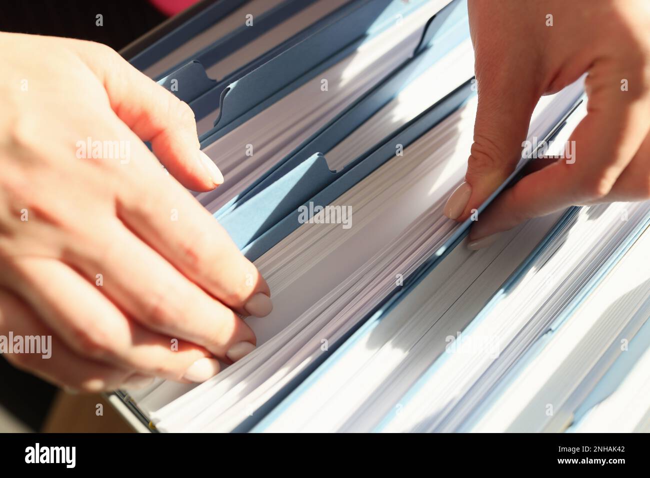 Female hands sort through documents in a folder, close-up Stock Photo