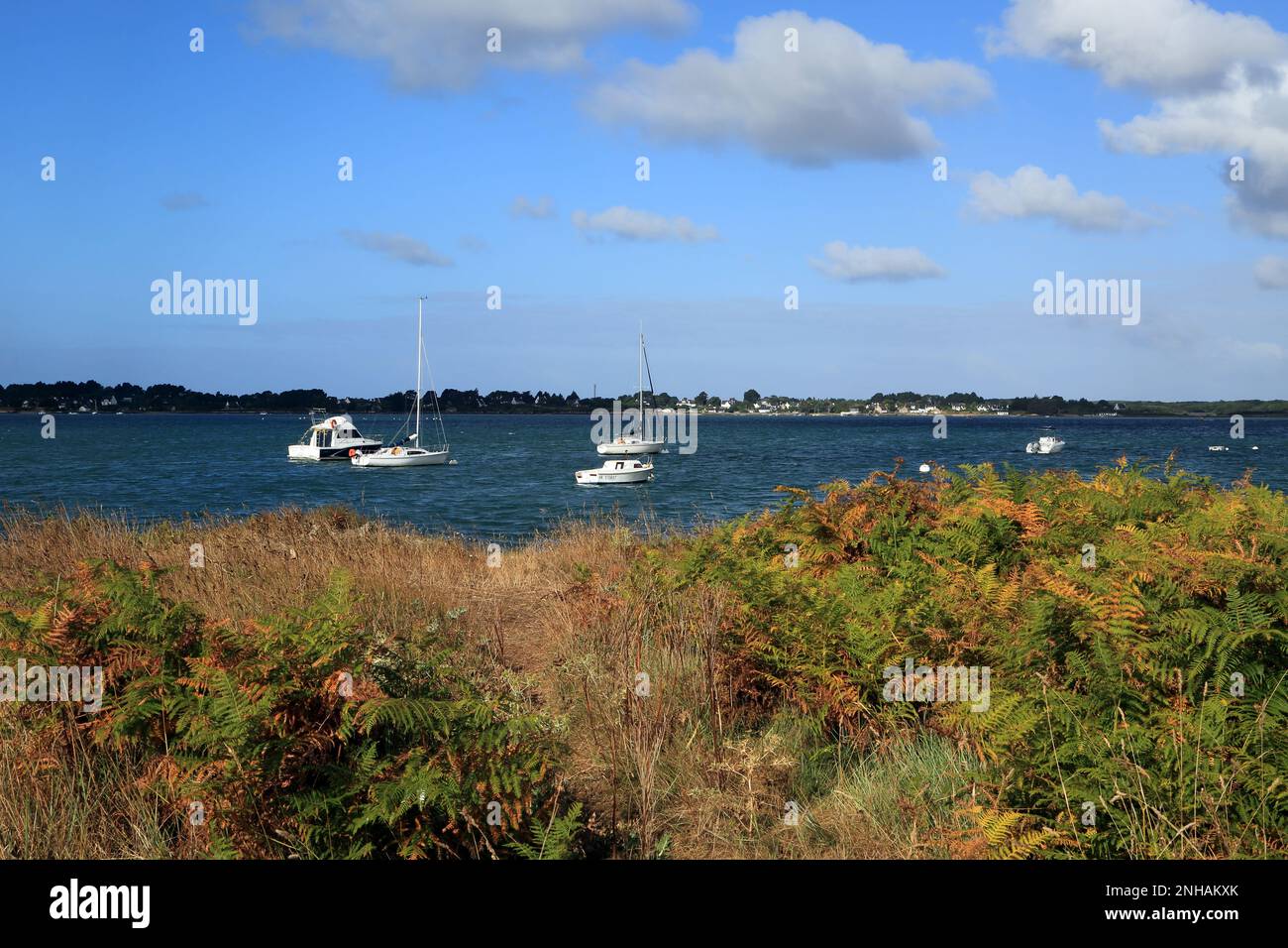 View across the Riviere d'Auray from Pointe du Blair, Baden, Morbihan ...