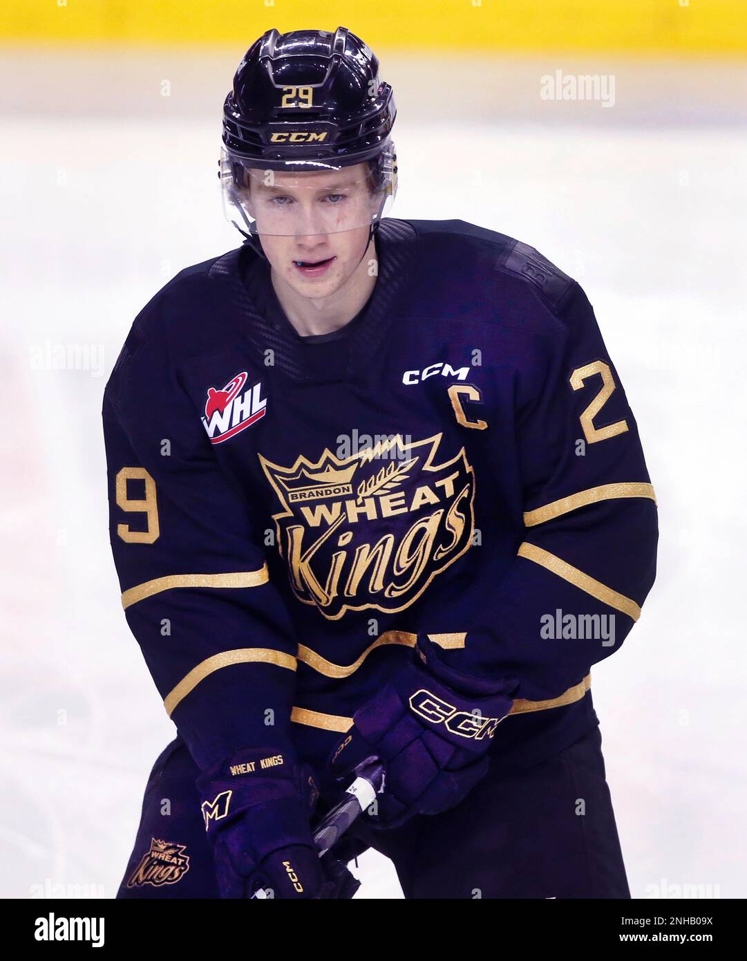 brandon wheat kings jersey products for sale