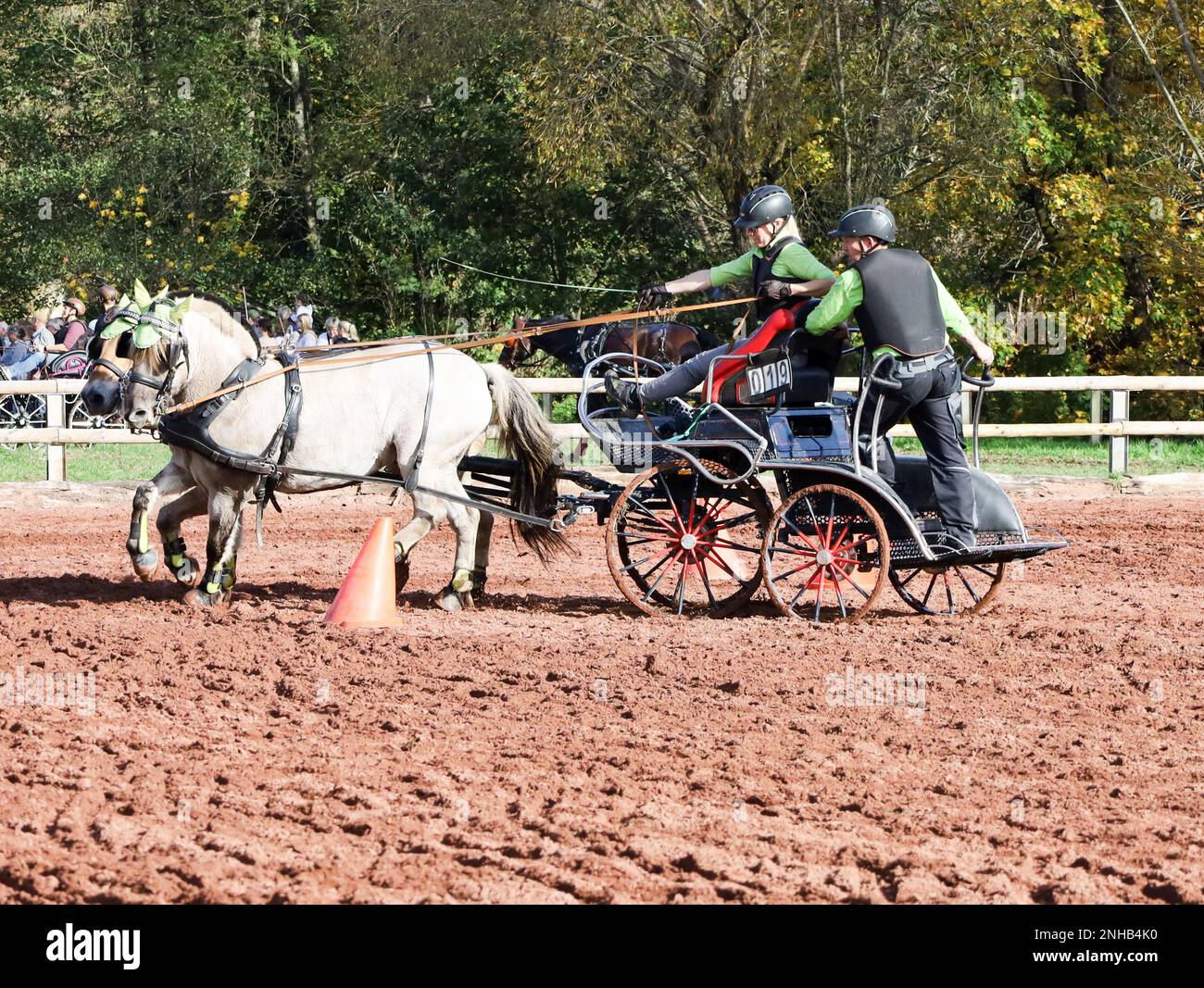horse show horse carriage Stock Photo - Alamy