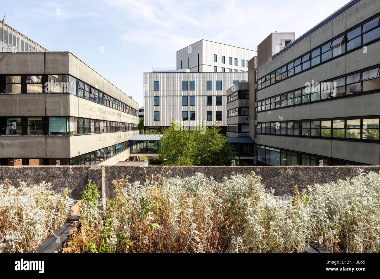 Looking through the existing buildings towards the new campus building ...