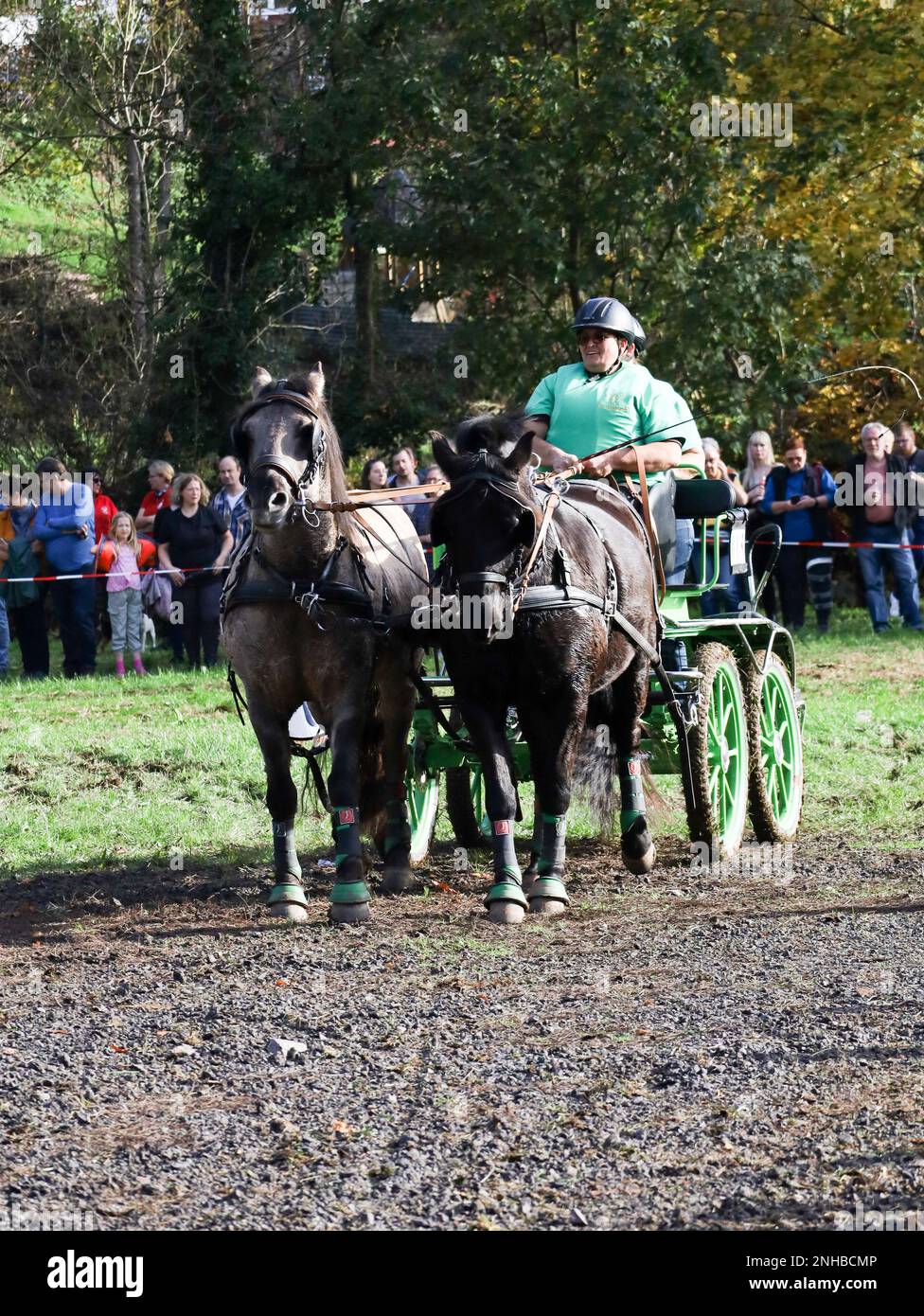 horse show horse carriage Stock Photo - Alamy